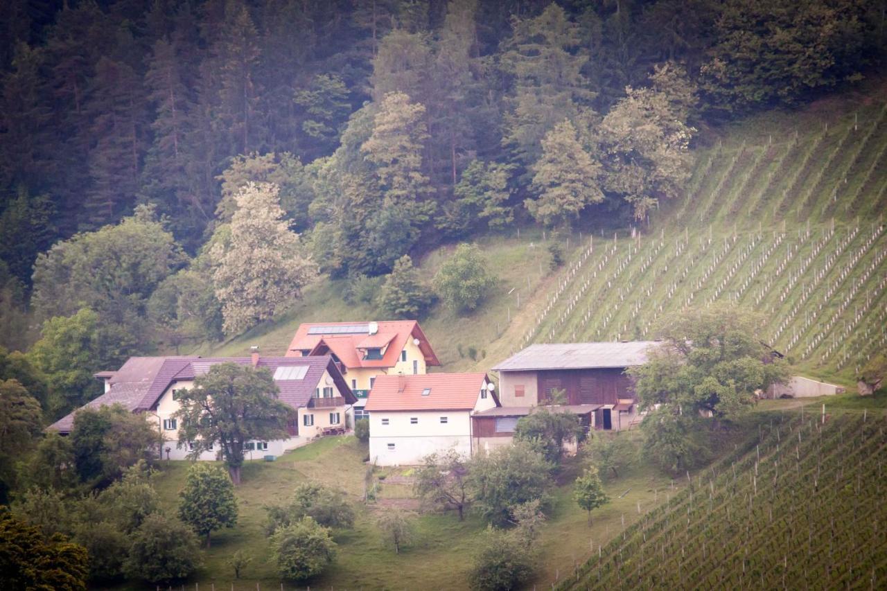 Apartmán Weinbau Pronegg Vlg. Krainz Leutschach Exteriér fotografie